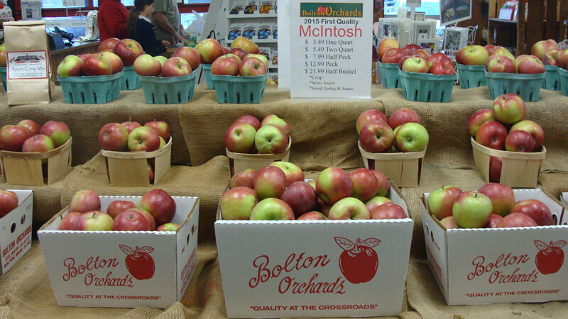 Bolton Orchards – Open 9 AM to 5 PM